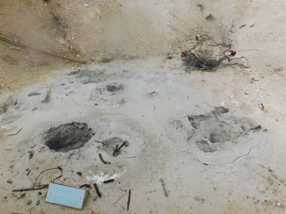 99239D4B5B39A83239CD3F