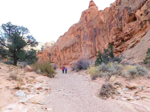 99434A335A18D4CD1CED3D