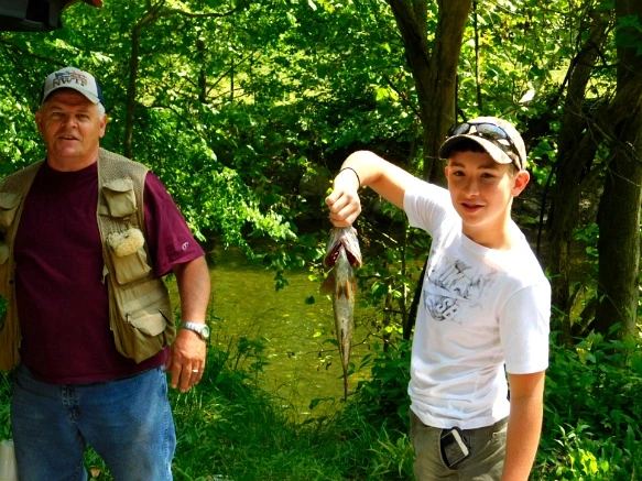 2234A03D594C77223A9616