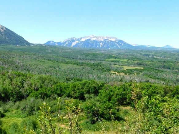 227FEC3F595C31821A4963