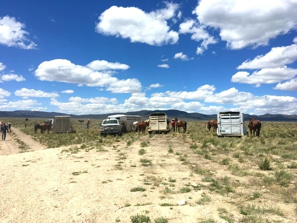 2457763E593638831F016B