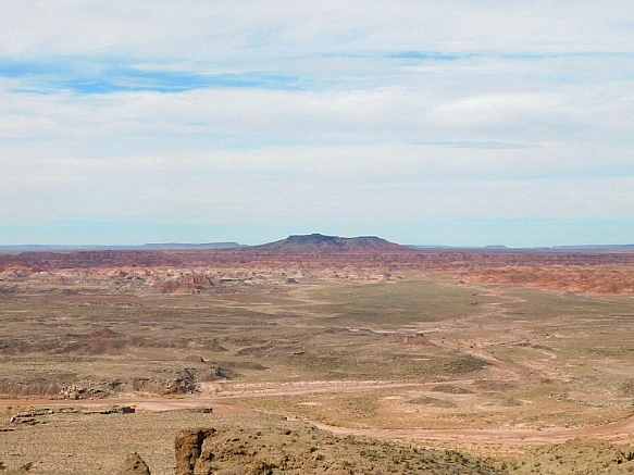 9995FD355BE677912C8F95