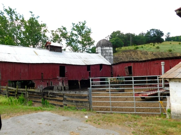 23571F3D594C774433E05D