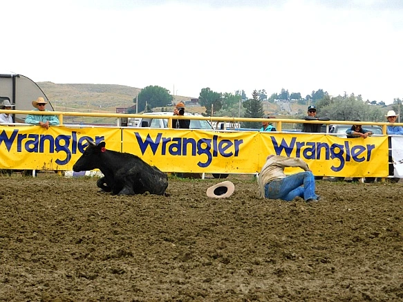 99E47C395B7F7DC422A96E