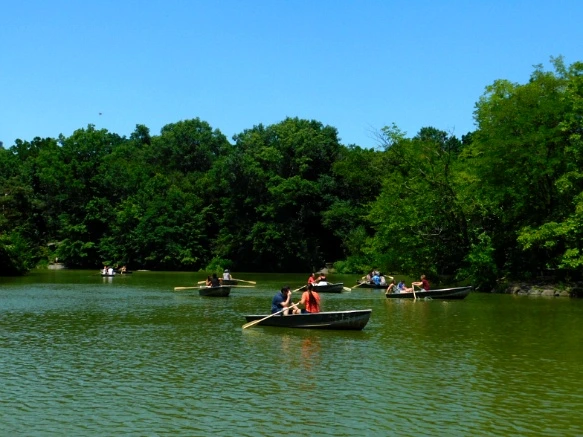 9911304F5B5945491564E1