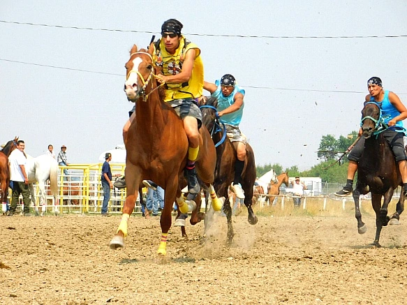 99991B335B7D95600EC507