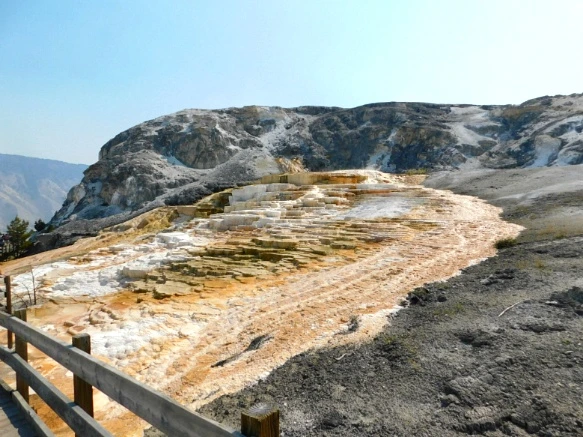 99F1733359ADFAFA1DAD2D