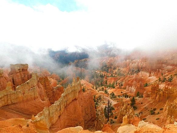 99FE94505BC56C872F9D19