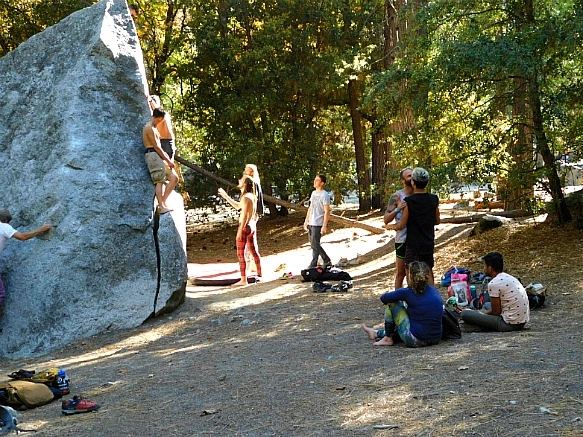 999843335BD68868042F20