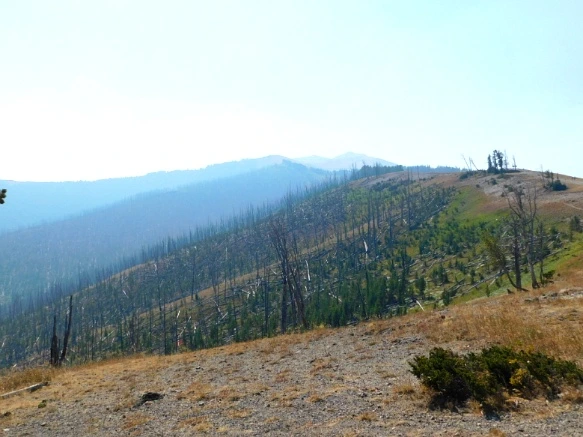 99662F3359ADFAED04B3F4