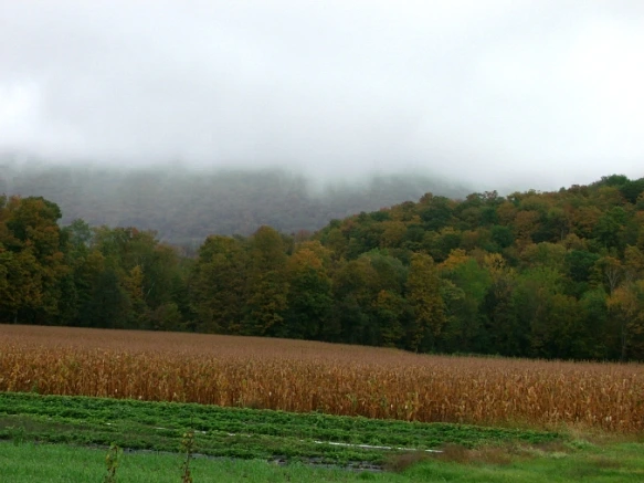 171DBF504E7FE32D39013F