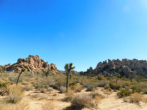 99688A4F5BE11C9D3A7DA6