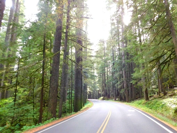 99DA803359A4AE0410E441