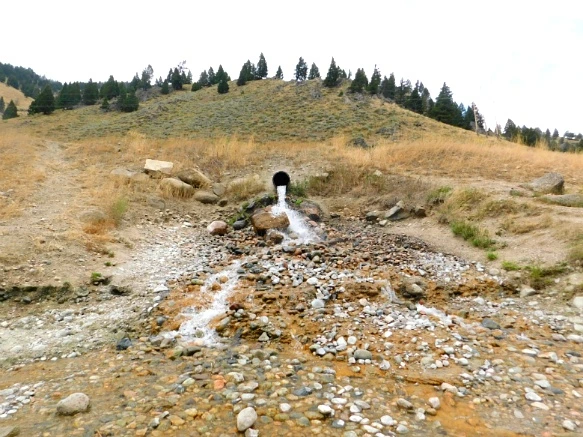 99C5F63359A9ECF2273549