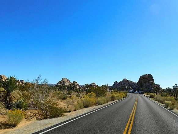 9941A04F5BE11C9B18F320