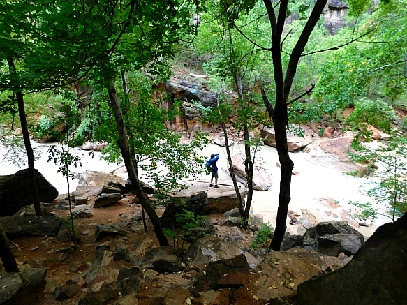 99ED16495BC685381D20FA