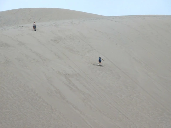 99D740455B69239F021CDE