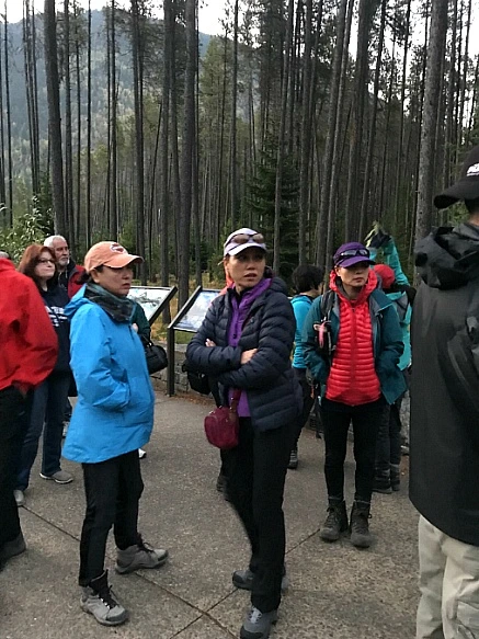 9987C14B5BA84D911C0FAE