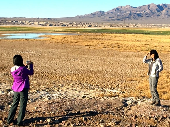 99DA16335A21DE931873BC