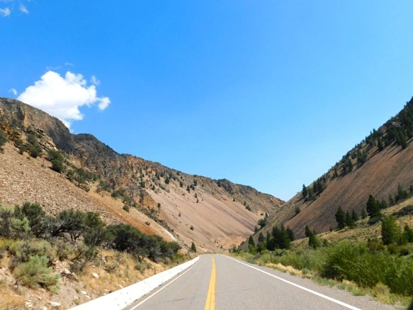 992AE53359AB28E112AE1C