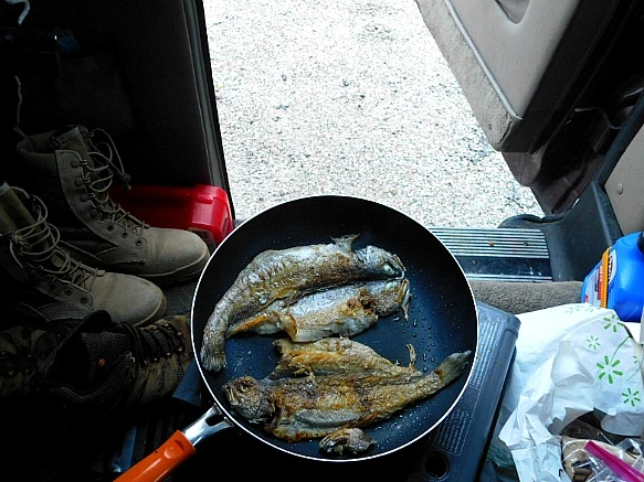 9906A93C5BF770682E4A5B