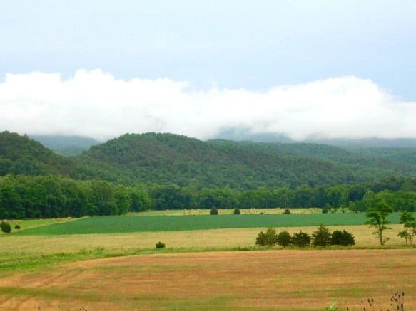 2175AE44594C8FEB15F6FA