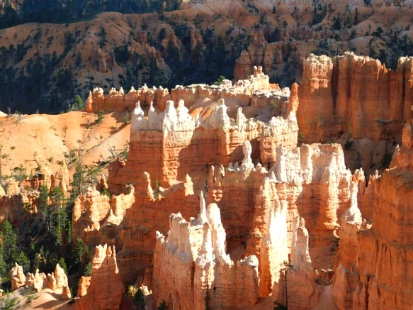 99CEF33359B9BC4622F0AD