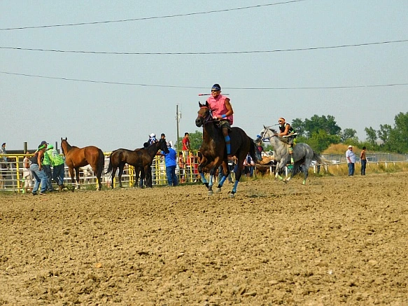 991204345B7D9EA602C212