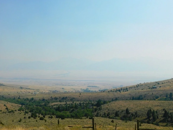 992E4B3359ACE2700ED561