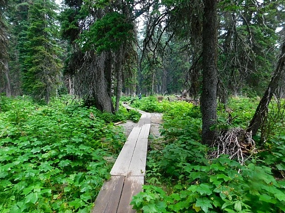 9927D1345B8CA04F21070C