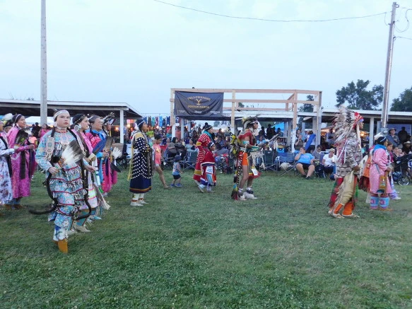 99F8F9335B7E492D30DFF5