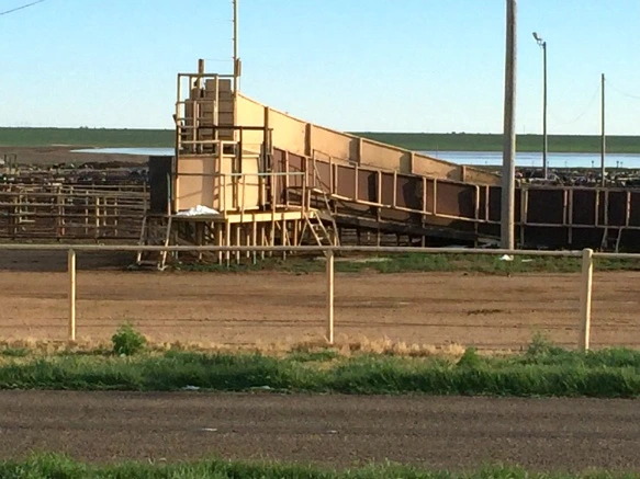 24404150571C41E3342F36