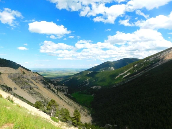 99E40E4C5B402B230BDE45