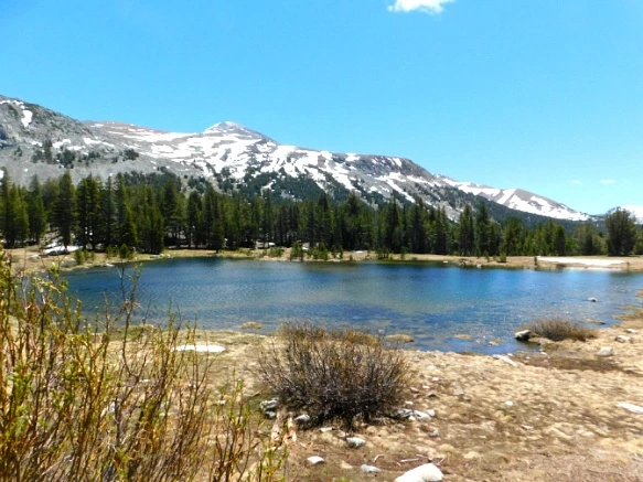 24351843577218D710D84C