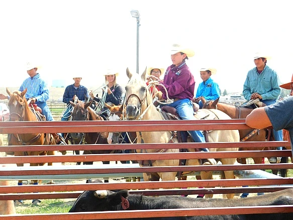 99FBE2345B7A377A2A6963