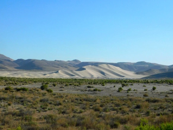 2505A3495932065933B860