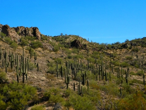 9912DD335A25F316335B27