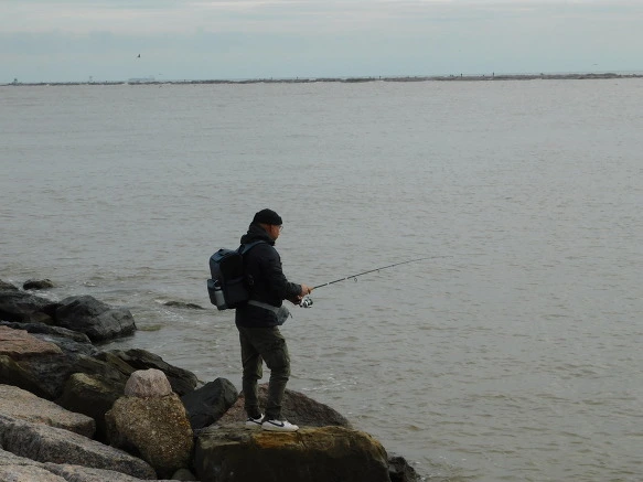 99DA6D425BF76EE330D2D6