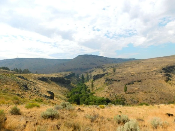 99CA4A3359A779D224BD1D