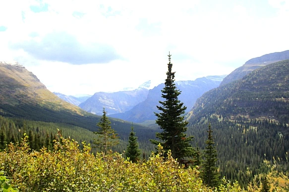 994ACA4B5BA30F472F1182