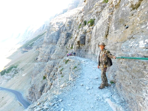 99DE813359A246B62272D1