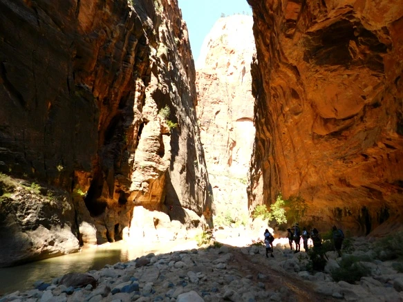 991E263359BB1519062961