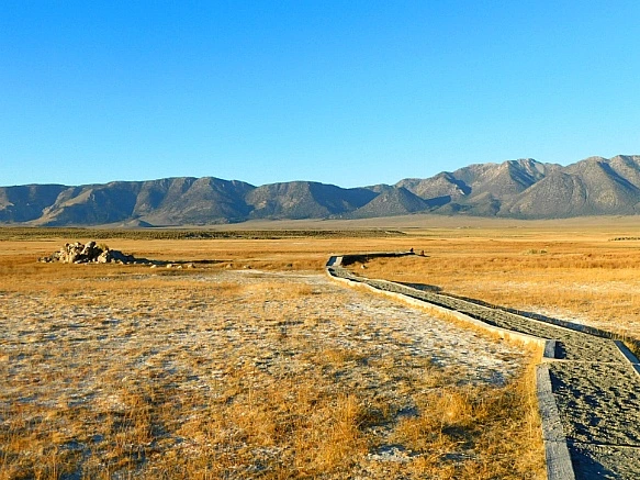 99D07D385BD3E6051ECF22