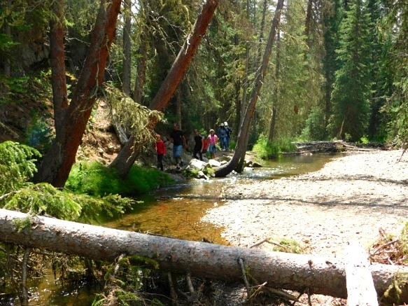 9968D9495B6E69CC1F85D4