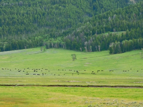 9948363F5B3AF2531DBF7D