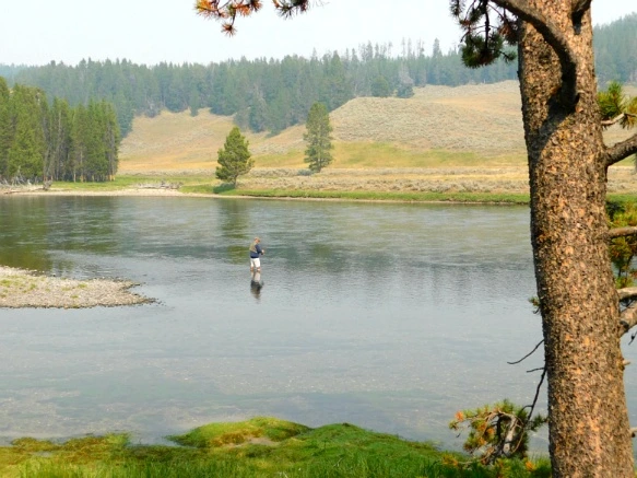 99661B3359AF0E2527DD7B