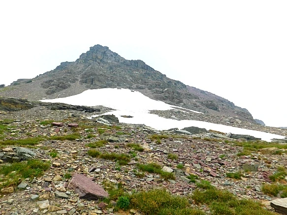 9990D83F5B8A0207042E44