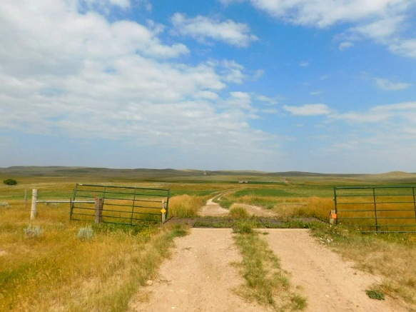 9918B7445B77A1E81EF2A3