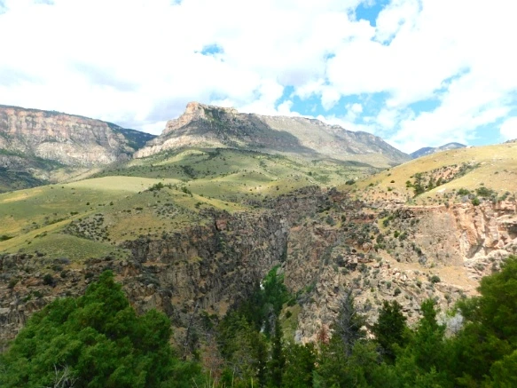 9956EE4B5B40274E05F75B