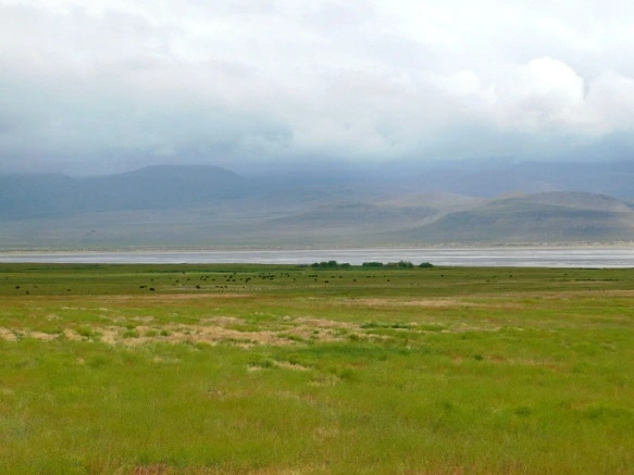 99A9834A5B2DDE0815AEBE